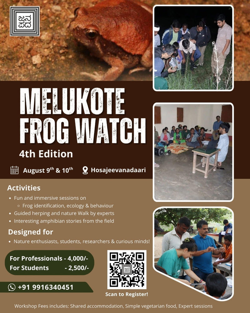 Melukote Frog Watch - 9th and 10th August, 2025.